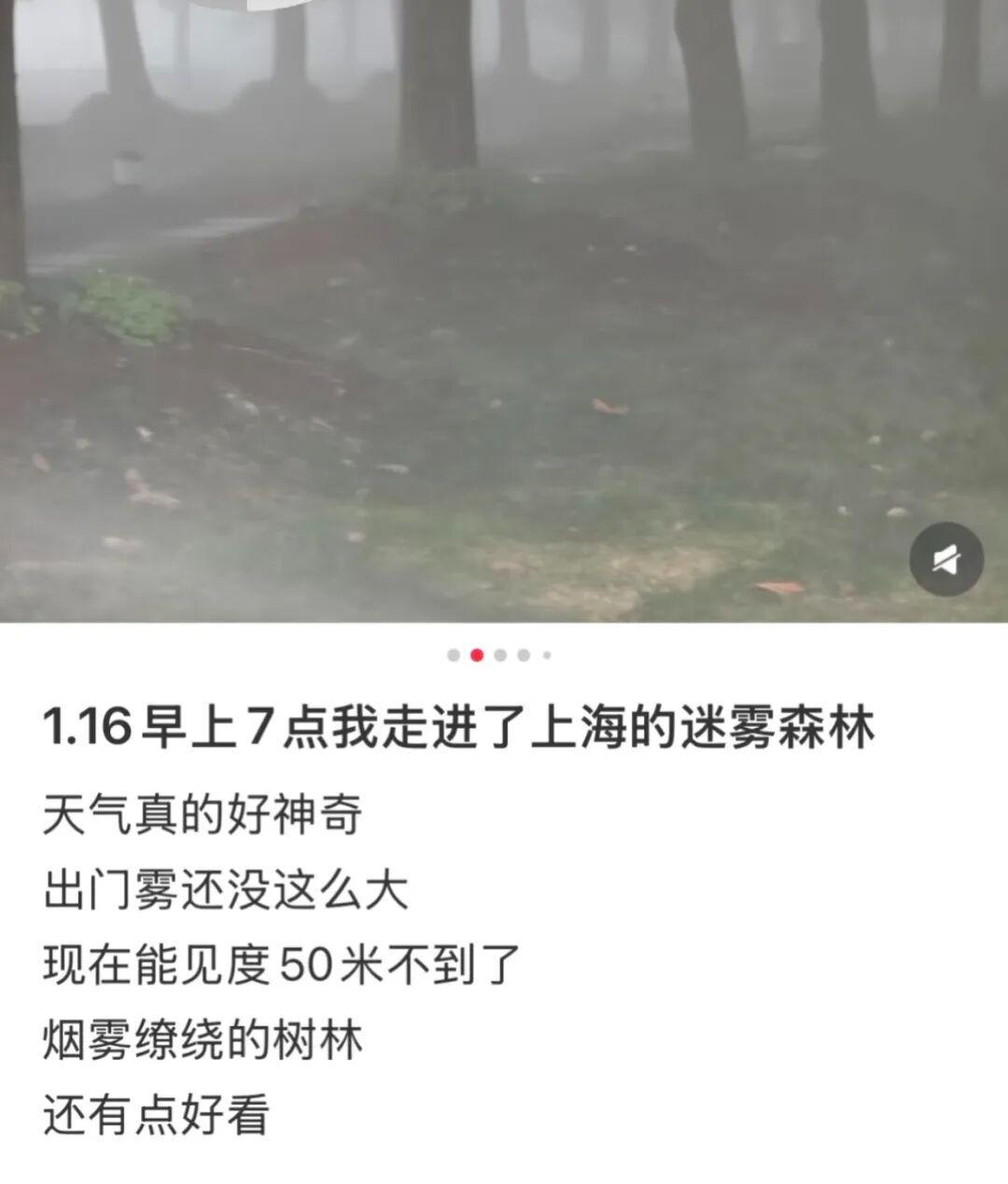 上海:入冬以来最强雨雪冰冻将袭!网友:没见过这么大雾,路口竟看不到红绿灯!